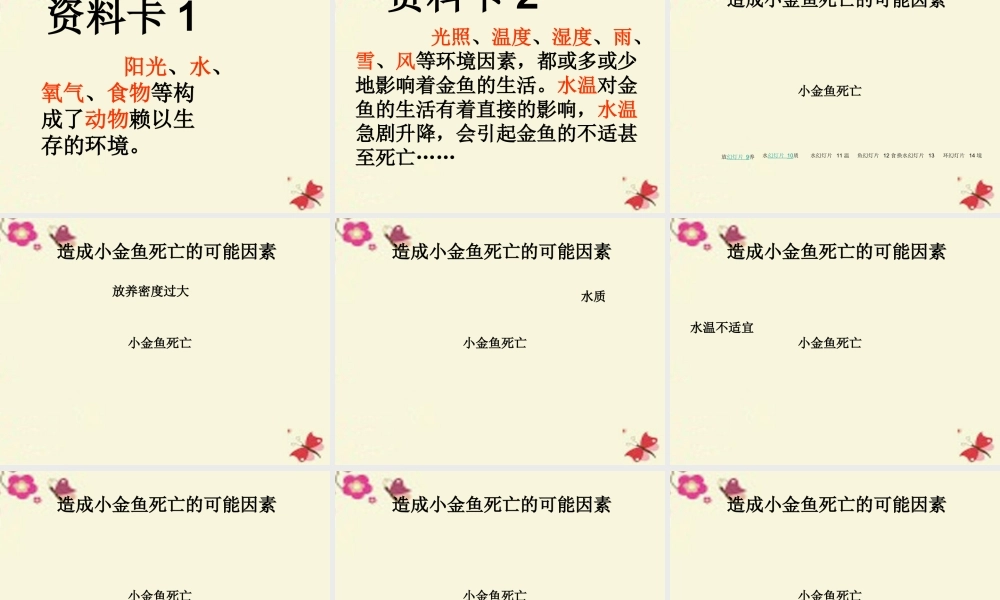 春六年级科学下册 3.1《小金鱼之死》课件3 大象版-大象版小学六年级下册自然科学课件