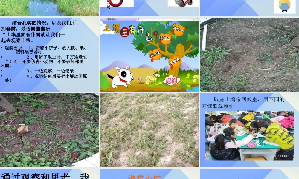 秋三年级科学上册 5.1《探访蚯蚓的家》课件1 大象版-大象版小学三年级上册自然科学课件