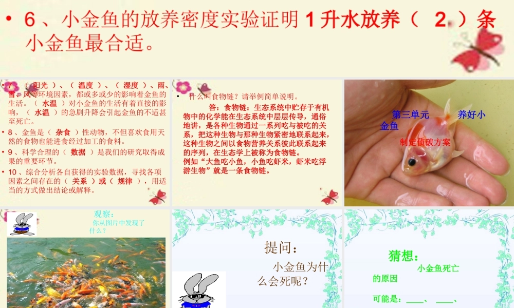 春六年级科学下册 3.2《制订侦破方案》课件1 大象版-大象版小学六年级下册自然科学课件