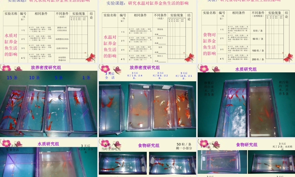 春六年级科学下册 3.2《制订侦破方案》课件1 大象版-大象版小学六年级下册自然科学课件