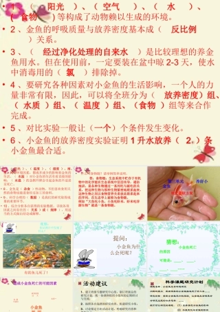 春六年级科学下册 3.2《制订侦破方案》课件1 大象版-大象版小学六年级下册自然科学课件