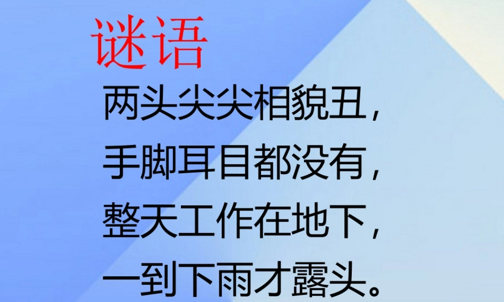秋三年级科学上册 5.1《探访蚯蚓的家》课件2 大象版-大象版小学三年级上册自然科学课件