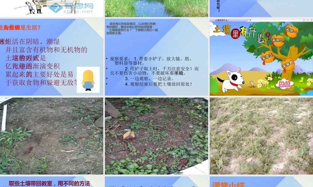 秋三年级科学上册 5.1《探访蚯蚓的家》课件2 大象版-大象版小学三年级上册自然科学课件