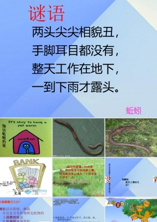 秋三年级科学上册 5.1《探访蚯蚓的家》课件2 大象版-大象版小学三年级上册自然科学课件