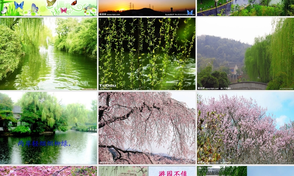 春二年级语文下册 第八单元 第29课《春日晨景》课件 冀教版-冀教版小学二年级下册语文课件