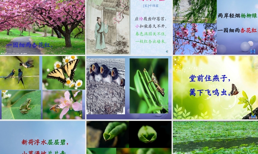 春二年级语文下册 第八单元 第29课《春日晨景》课件 冀教版-冀教版小学二年级下册语文课件