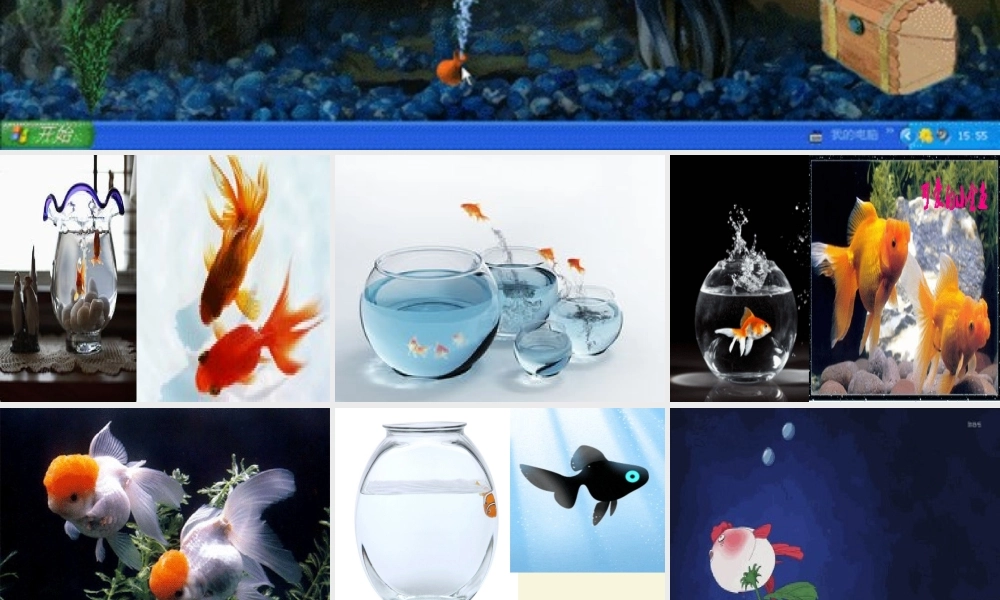 春六年级科学下册 3.3《做好侦破准备》课件1 大象版-大象版小学六年级下册自然科学课件