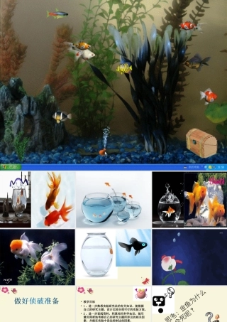 春六年级科学下册 3.3《做好侦破准备》课件1 大象版-大象版小学六年级下册自然科学课件