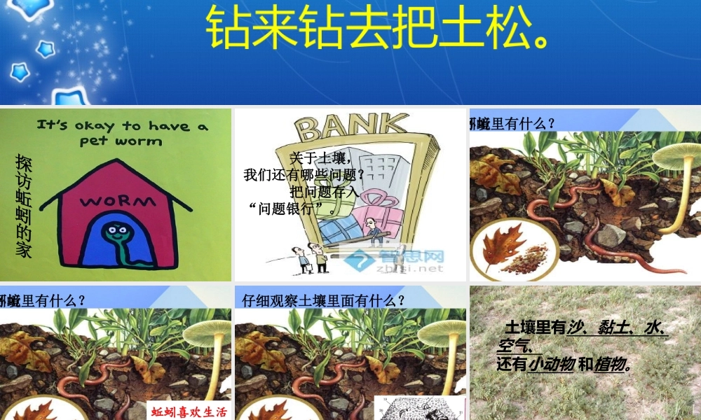 秋三年级科学上册 5.1《探访蚯蚓的家》课件3 大象版-大象版小学三年级上册自然科学课件