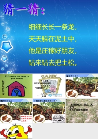 秋三年级科学上册 5.1《探访蚯蚓的家》课件3 大象版-大象版小学三年级上册自然科学课件