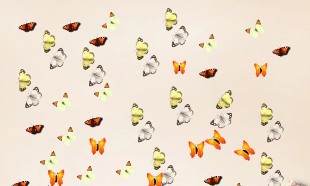 春五年级语文下册 7《蝴蝶泉》课件1 沪教版-沪教版小学五年级下册语文课件