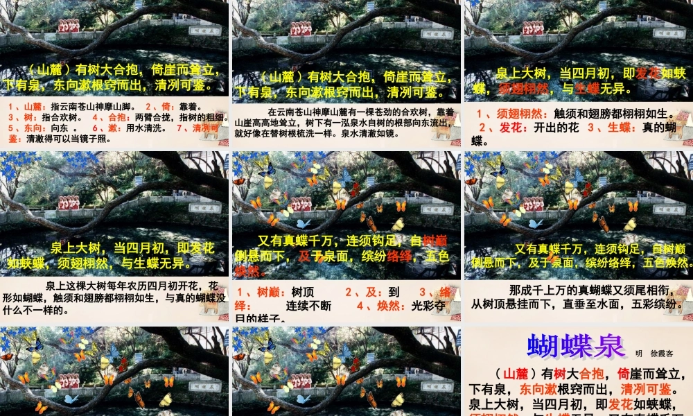 春五年级语文下册 7《蝴蝶泉》课件1 沪教版-沪教版小学五年级下册语文课件