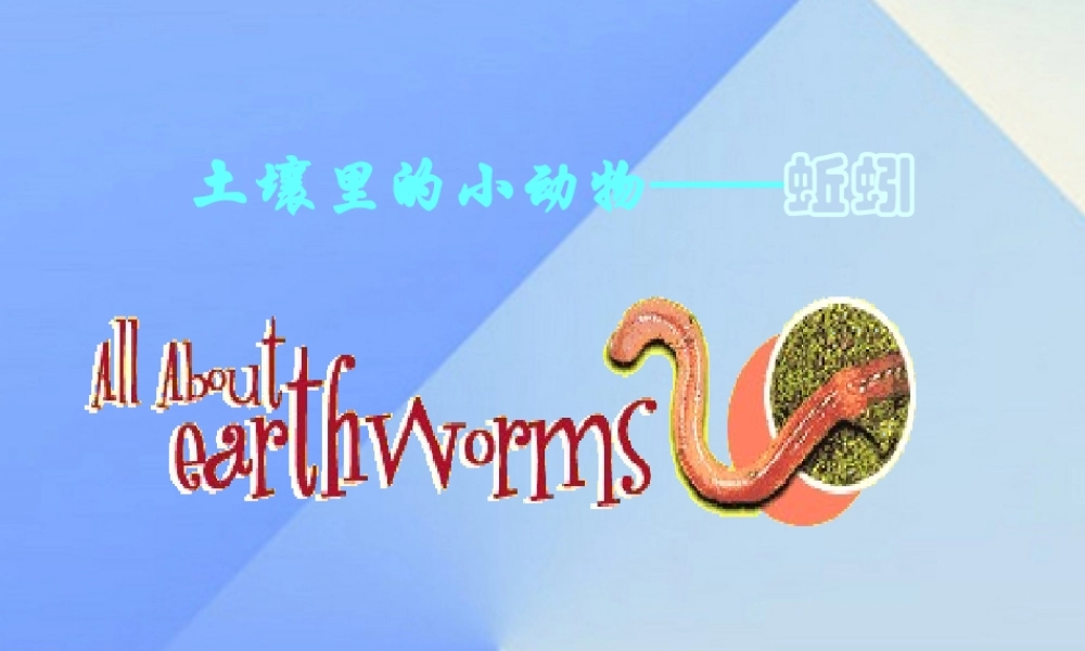 秋三年级科学上册 5.1《探访蚯蚓的家》课件4 大象版-大象版小学三年级上册自然科学课件