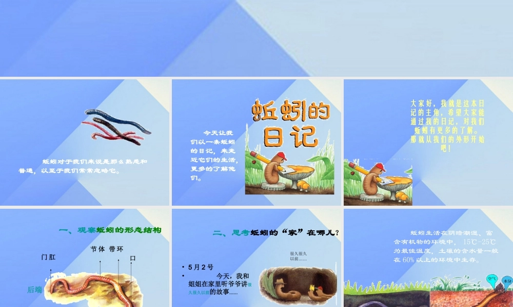 秋三年级科学上册 5.1《探访蚯蚓的家》课件4 大象版-大象版小学三年级上册自然科学课件
