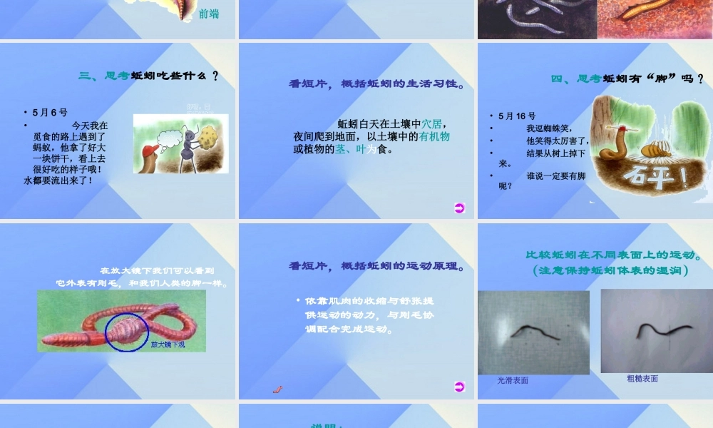 秋三年级科学上册 5.1《探访蚯蚓的家》课件4 大象版-大象版小学三年级上册自然科学课件