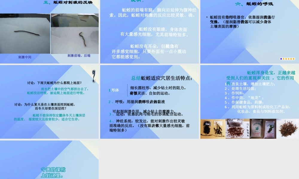 秋三年级科学上册 5.1《探访蚯蚓的家》课件4 大象版-大象版小学三年级上册自然科学课件