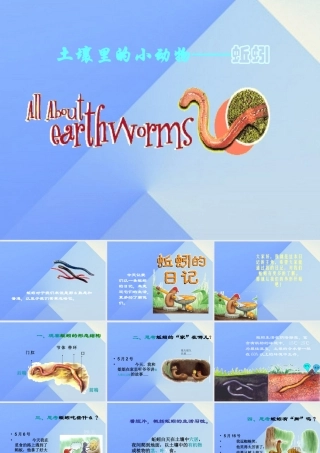秋三年级科学上册 5.1《探访蚯蚓的家》课件4 大象版-大象版小学三年级上册自然科学课件