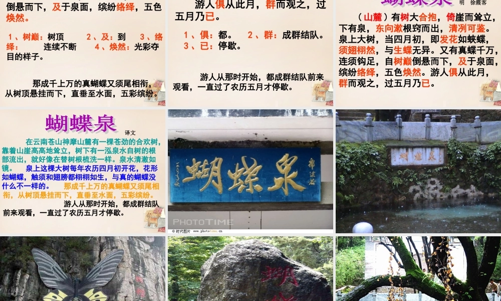 春五年级语文下册 7《蝴蝶泉》课件2 沪教版-沪教版小学五年级下册语文课件