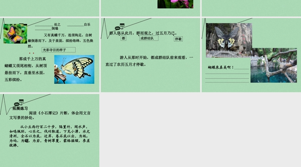 春五年级语文下册 7《蝴蝶泉》课件3 沪教版-沪教版小学五年级下册语文课件