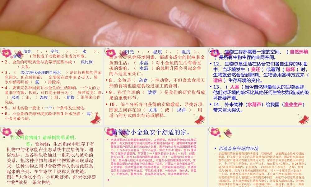 春六年级科学下册 3.4《揭开金鱼死亡之谜》课件2 大象版-大象版小学六年级下册自然科学课件