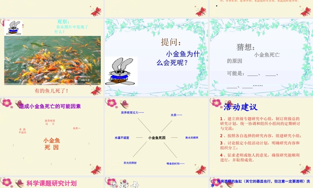 春六年级科学下册 3.4《揭开金鱼死亡之谜》课件2 大象版-大象版小学六年级下册自然科学课件