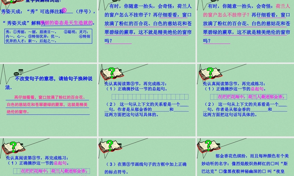 春五年级语文下册 8《荷兰的花》课件1 沪教版-沪教版小学五年级下册语文课件
