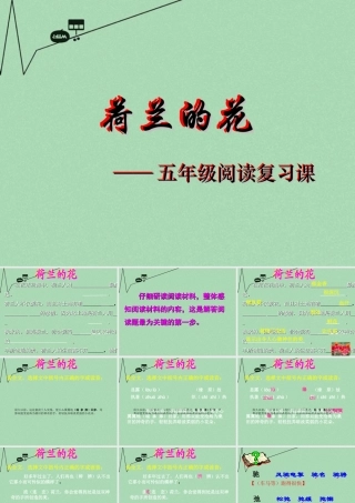 春五年级语文下册 8《荷兰的花》课件1 沪教版-沪教版小学五年级下册语文课件