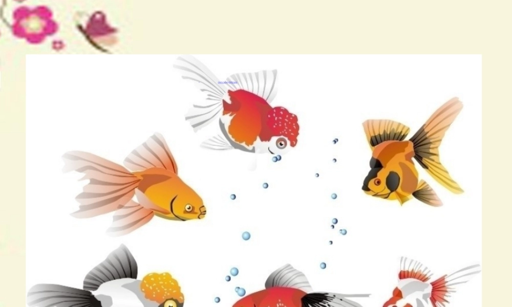 春六年级科学下册 3.5《给金鱼安个舒适的家》课件1 大象版-大象版小学六年级下册自然科学课件