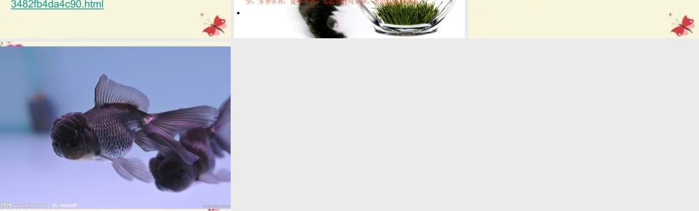 春六年级科学下册 3.5《给金鱼安个舒适的家》课件1 大象版-大象版小学六年级下册自然科学课件