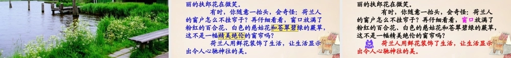 春五年级语文下册 8《荷兰的花》课件2 沪教版-沪教版小学五年级下册语文课件