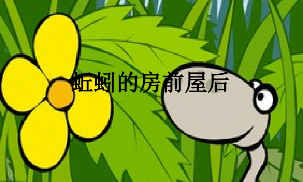 秋三年级科学上册 5.2《蚯蚓的房前屋后》课件2 大象版-大象版小学三年级上册自然科学课件