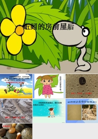 秋三年级科学上册 5.2《蚯蚓的房前屋后》课件2 大象版-大象版小学三年级上册自然科学课件