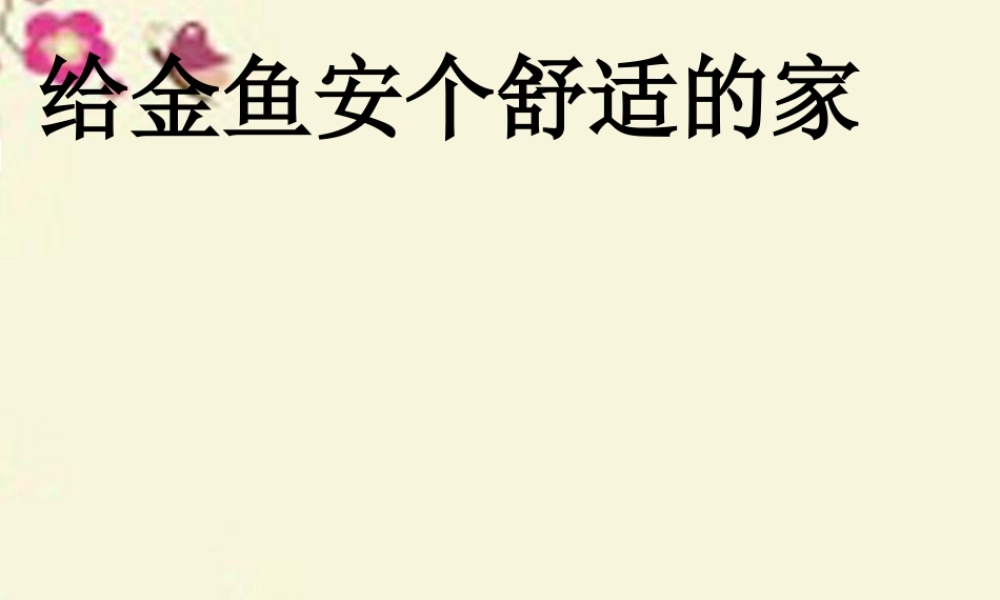 春六年级科学下册 3.5《给金鱼安个舒适的家》课件2 大象版-大象版小学六年级下册自然科学课件