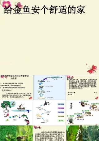 春六年级科学下册 3.5《给金鱼安个舒适的家》课件2 大象版-大象版小学六年级下册自然科学课件