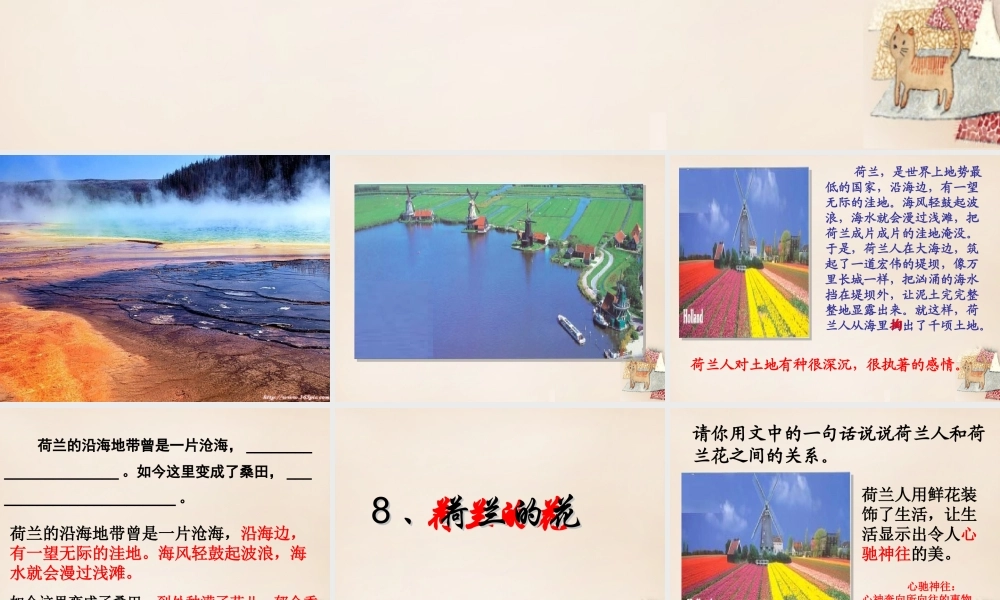 春五年级语文下册 8《荷兰的花》课件3 沪教版-沪教版小学五年级下册语文课件
