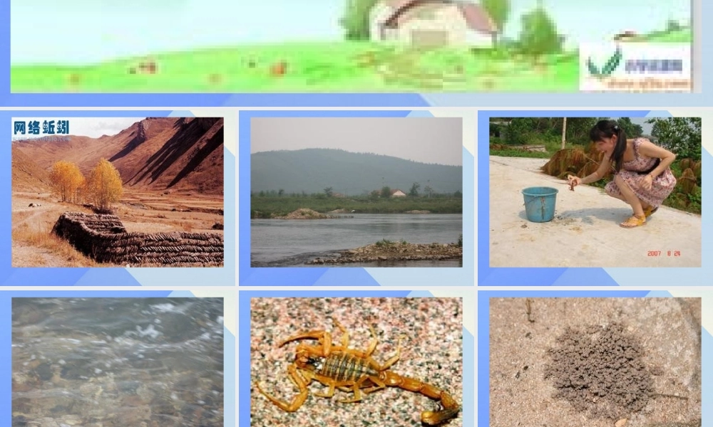 秋三年级科学上册 5.2《蚯蚓的房前屋后》课件3 大象版-大象版小学三年级上册自然科学课件