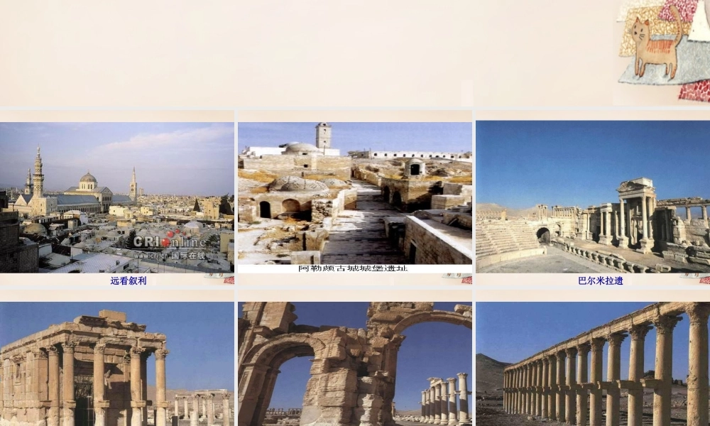 春五年级语文下册 9《叙利亚的卖水人》课件2 沪教版-沪教版小学五年级下册语文课件