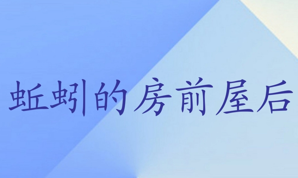 秋三年级科学上册 5.2《蚯蚓的房前屋后》课件4 大象版-大象版小学三年级上册自然科学课件