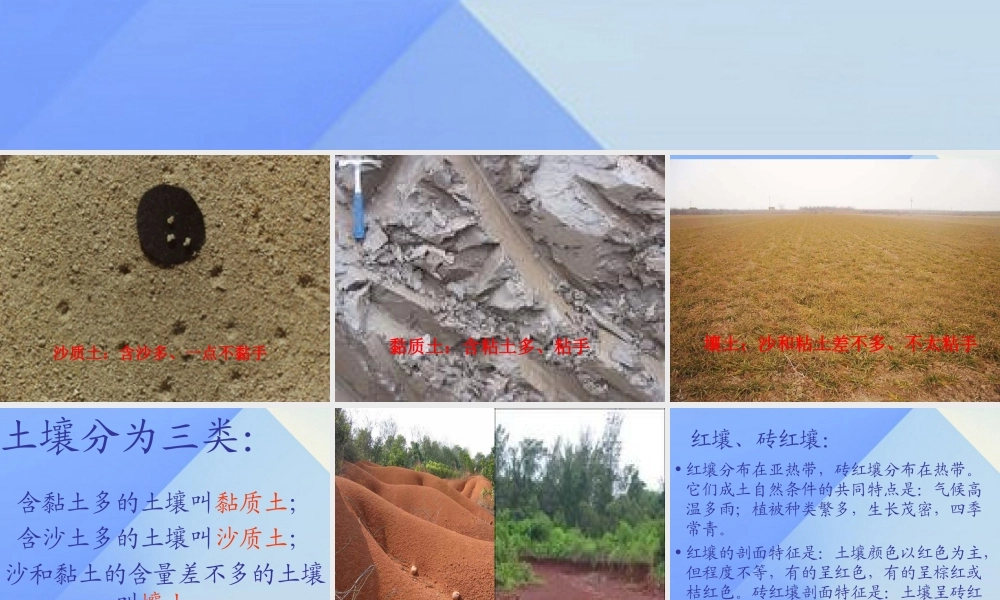 秋三年级科学上册 5.2《蚯蚓的房前屋后》课件4 大象版-大象版小学三年级上册自然科学课件