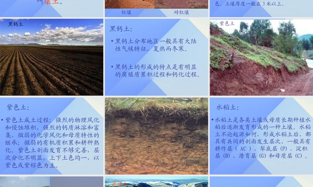 秋三年级科学上册 5.2《蚯蚓的房前屋后》课件4 大象版-大象版小学三年级上册自然科学课件