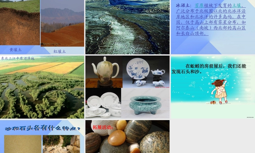 秋三年级科学上册 5.2《蚯蚓的房前屋后》课件4 大象版-大象版小学三年级上册自然科学课件