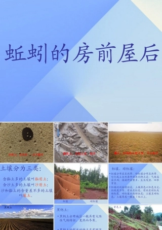 秋三年级科学上册 5.2《蚯蚓的房前屋后》课件4 大象版-大象版小学三年级上册自然科学课件