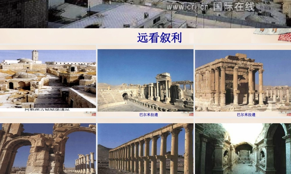 春五年级语文下册 9《叙利亚的卖水人》课件3 沪教版-沪教版小学五年级下册语文课件