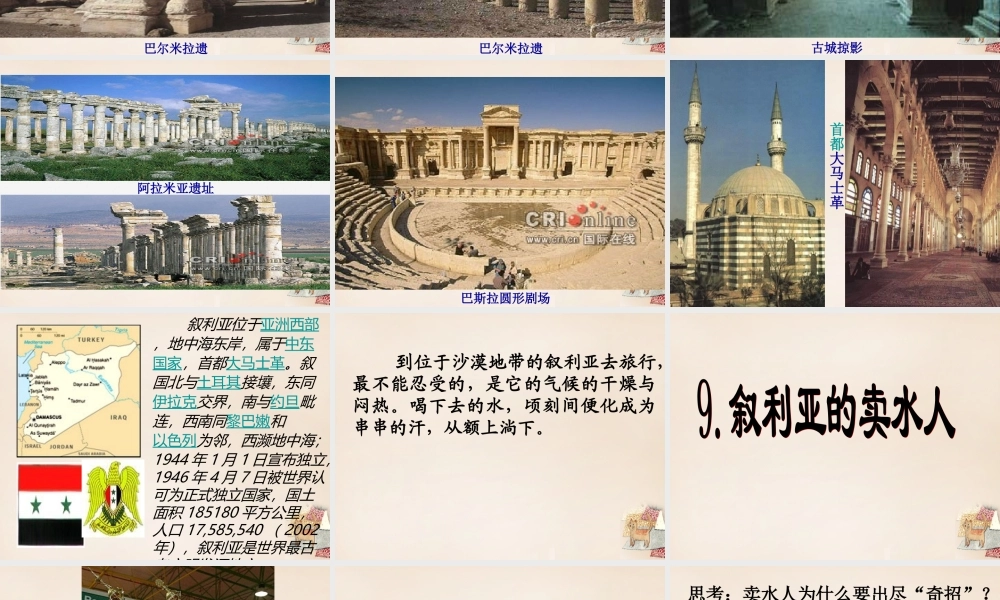 春五年级语文下册 9《叙利亚的卖水人》课件3 沪教版-沪教版小学五年级下册语文课件