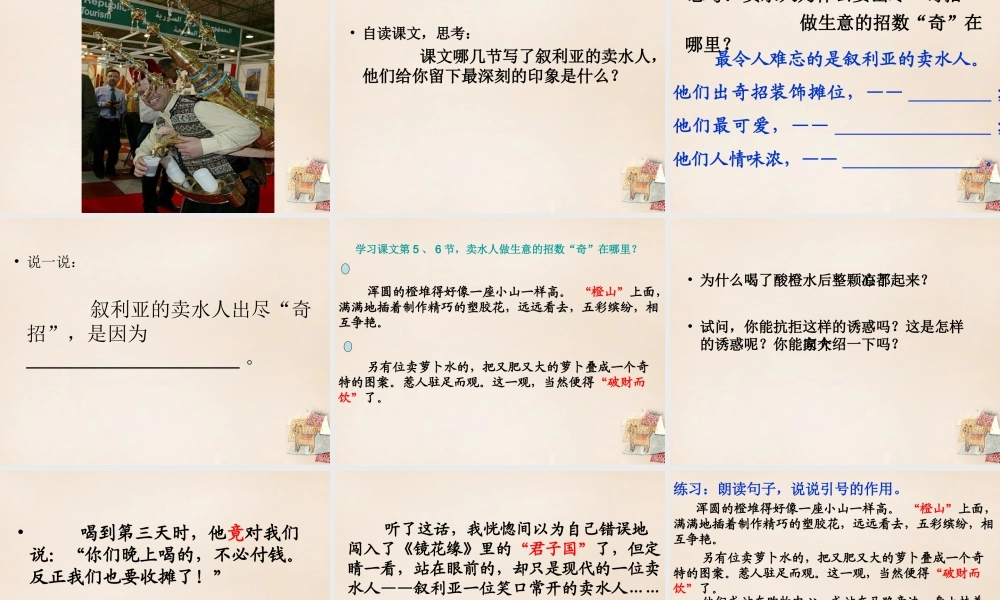 春五年级语文下册 9《叙利亚的卖水人》课件3 沪教版-沪教版小学五年级下册语文课件