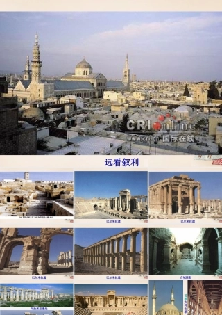 春五年级语文下册 9《叙利亚的卖水人》课件3 沪教版-沪教版小学五年级下册语文课件