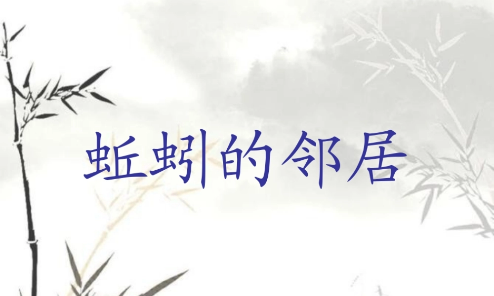 秋三年级科学上册 5.3《蚯蚓的邻居》课件1 大象版-大象版小学三年级上册自然科学课件