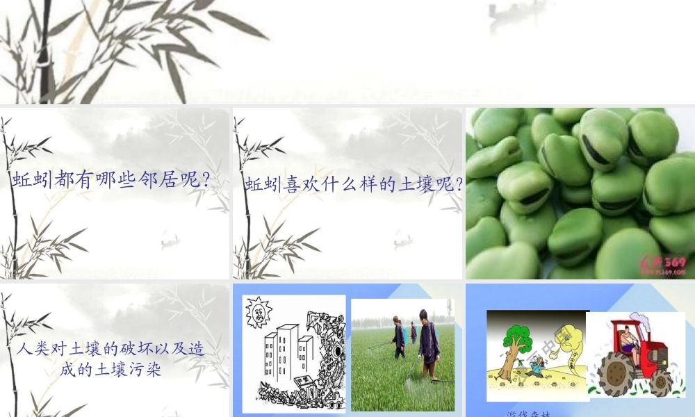 秋三年级科学上册 5.3《蚯蚓的邻居》课件1 大象版-大象版小学三年级上册自然科学课件