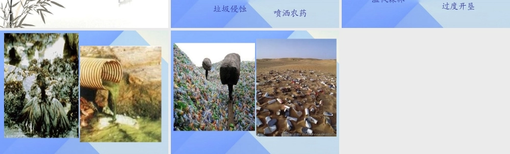 秋三年级科学上册 5.3《蚯蚓的邻居》课件1 大象版-大象版小学三年级上册自然科学课件