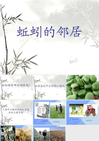 秋三年级科学上册 5.3《蚯蚓的邻居》课件1 大象版-大象版小学三年级上册自然科学课件